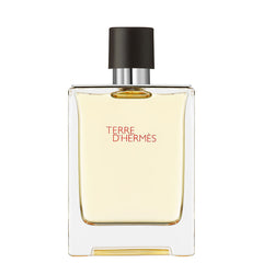 Hermes Terre D´Hermes H EDT 100ML
