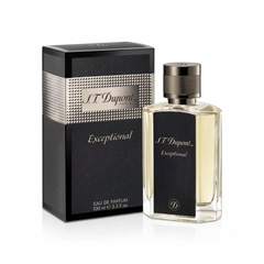 S.T. Dupont Be Exceptional H EDP 100ML