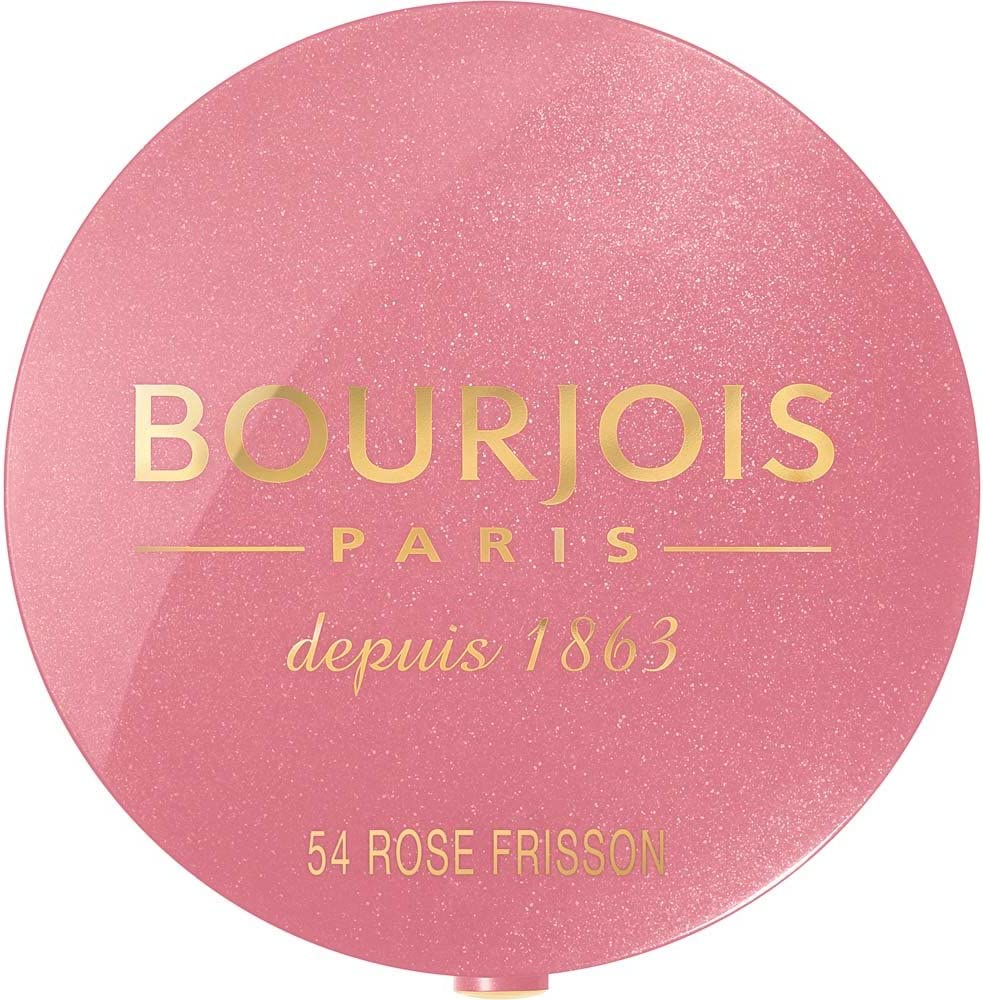 Bourjois Blusher Pot N.54