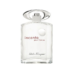 INCANTO HOMME EDT 100 ml