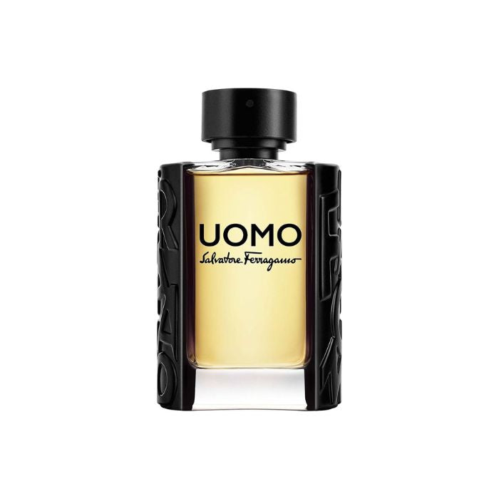 Ferragamo UOMO P.HOMME EDT 100 ml